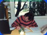 Bill Ginn arranging 'A Singer Must Die', in my living room - 1987 - Photo copyright © Roscoe Beck